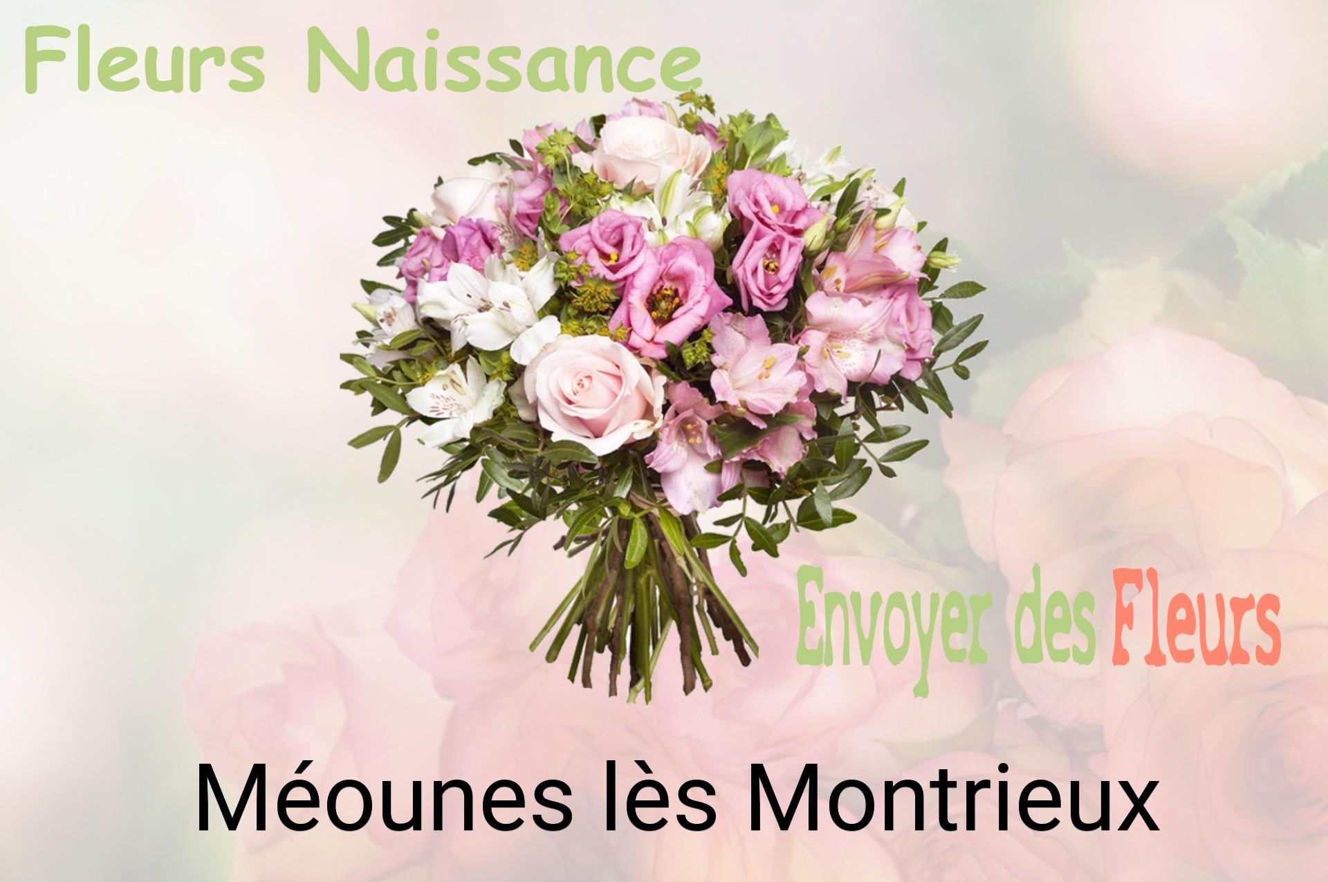 Bouquet de fleurs de naissance livré à Méounes-lès-Montrieux